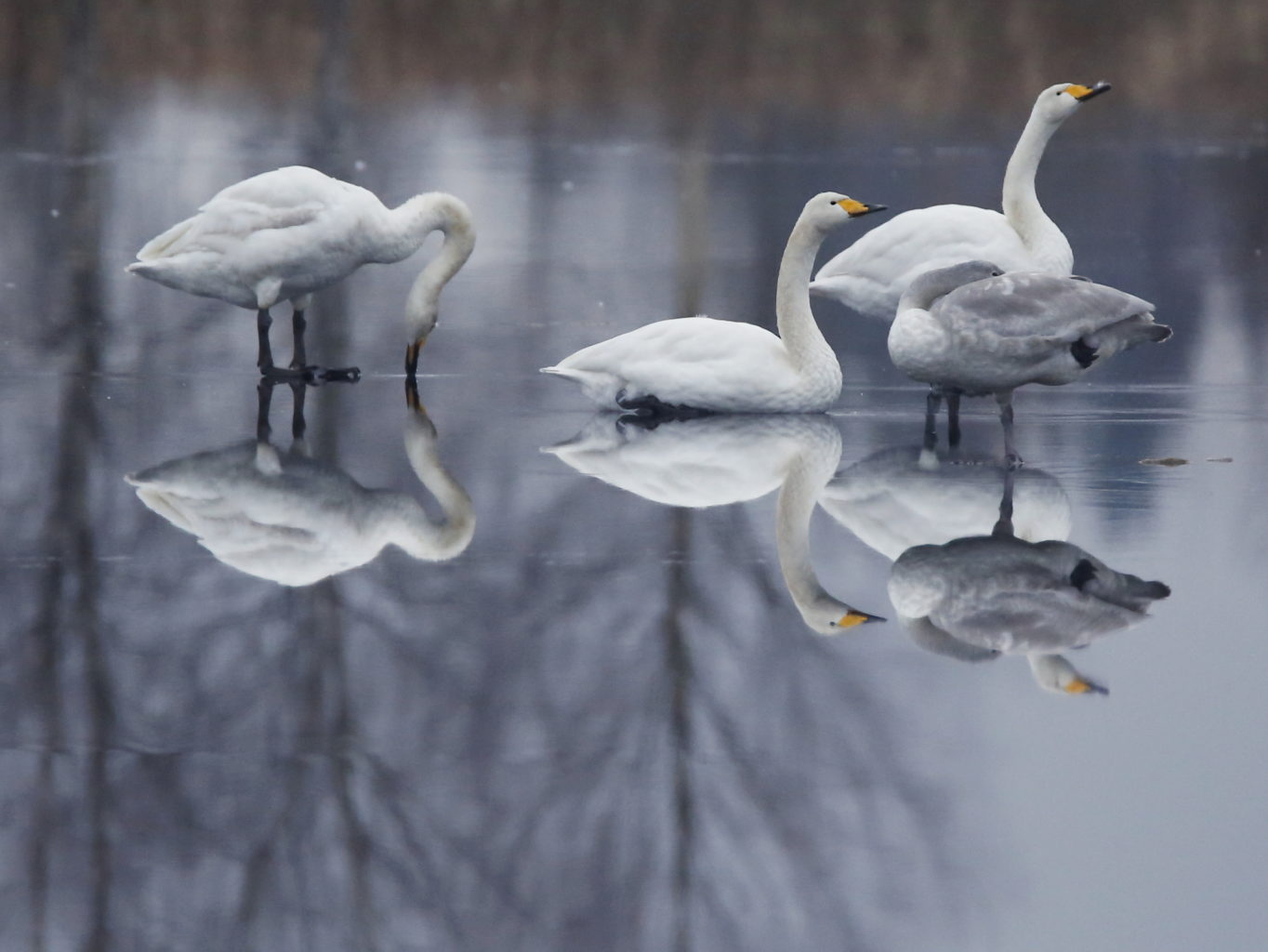 Valokuvaaja: Anne Moilanen Valokuvaaja: Anne Moilanen