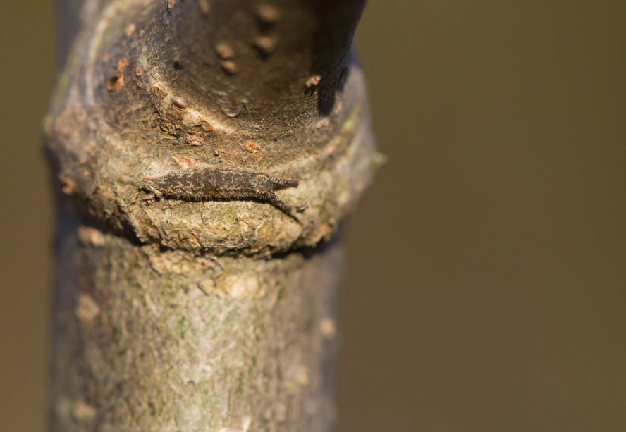 Valokuvaaja: Håkan Söderholm