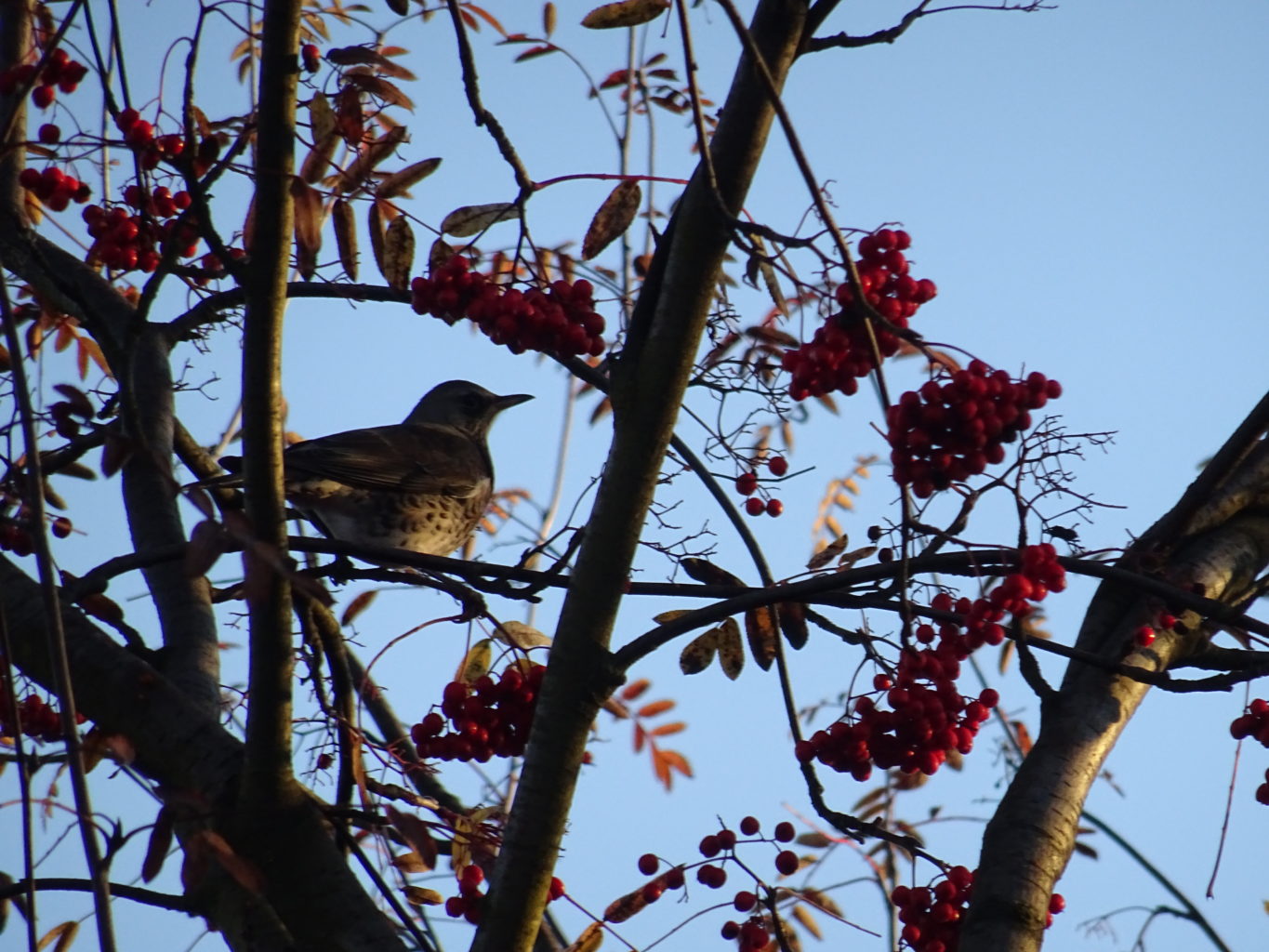 Valokuvaaja: Katja Ketola