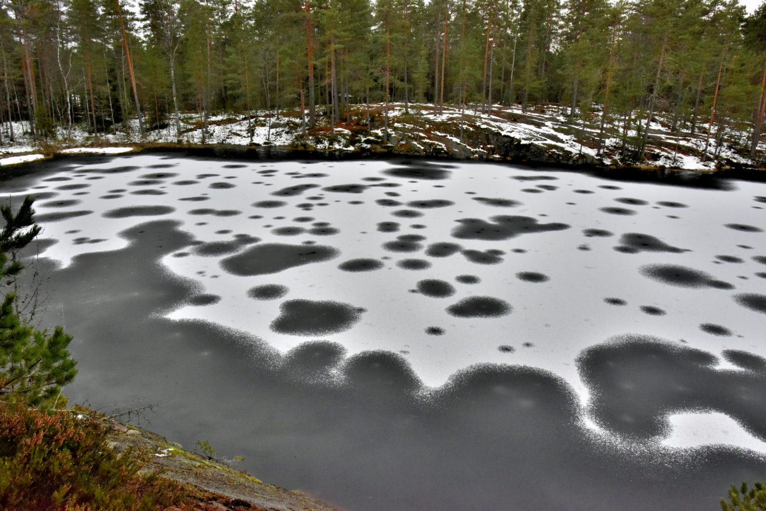 Valokuvaaja: Reijo Juurinen