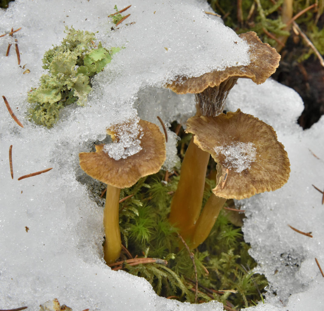 Valokuvaaja: Reijo Juurinen
