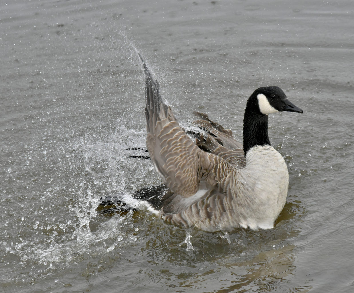 Valokuvaaja: Reijo Juurinen