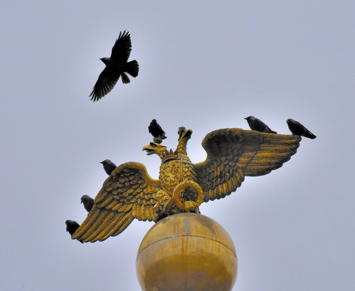 Valokuvaaja: Reijo Juurinen