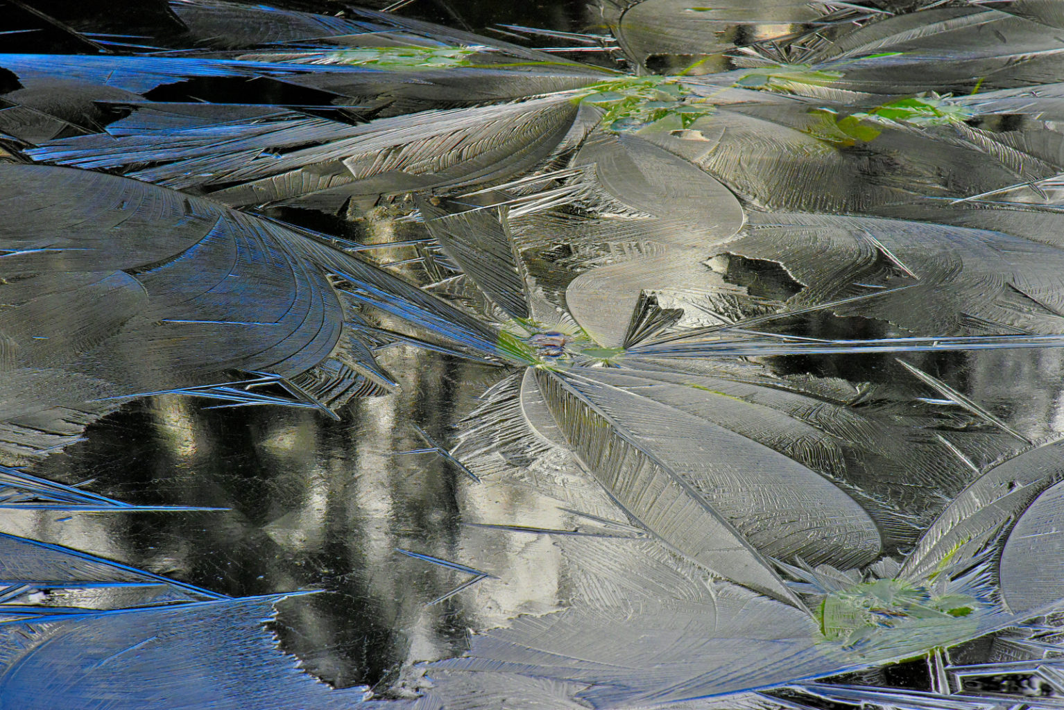 Valokuvaaja: Reijo Juurinen