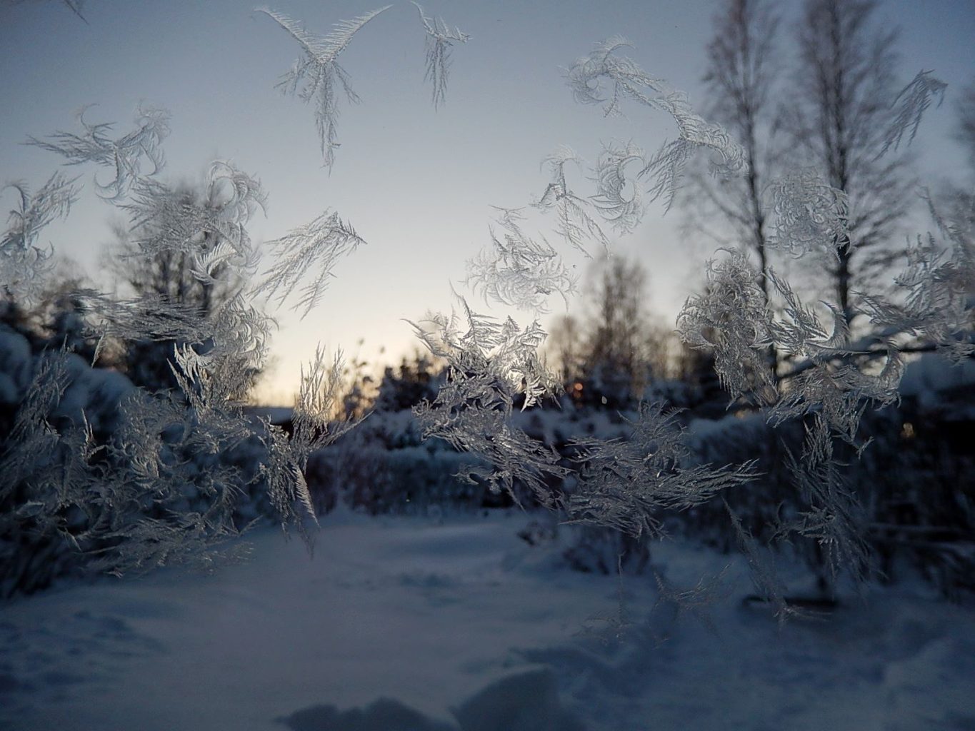 Valokuvaaja: Pirkko Siukonen