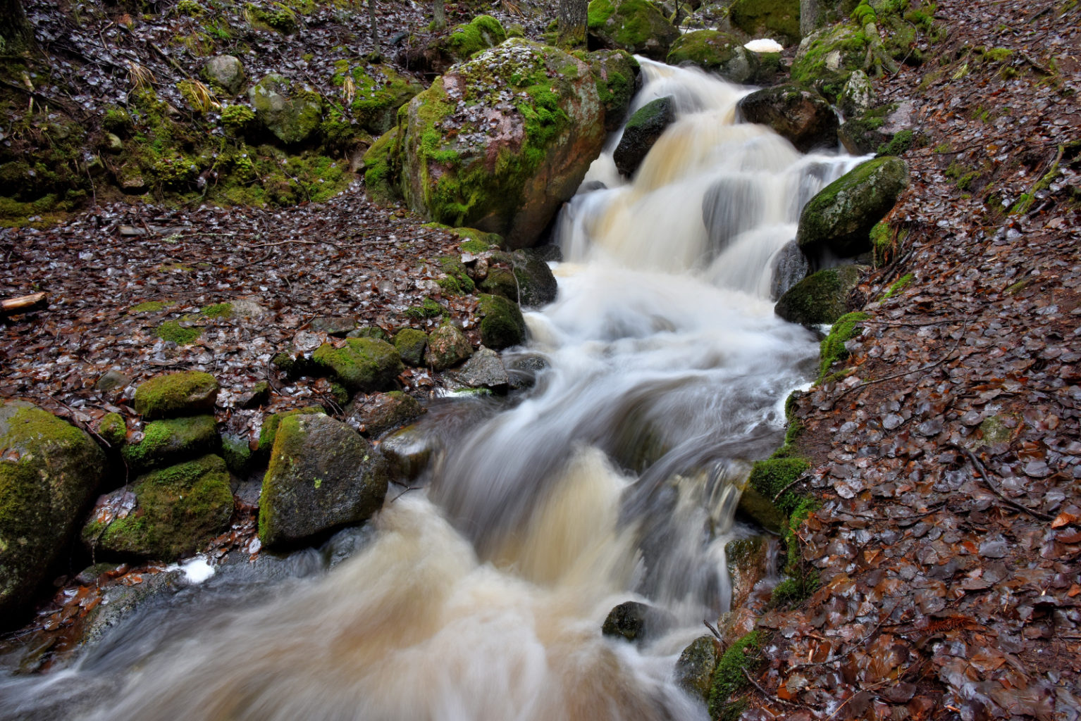Valokuvaaja: Reijo Juurinen