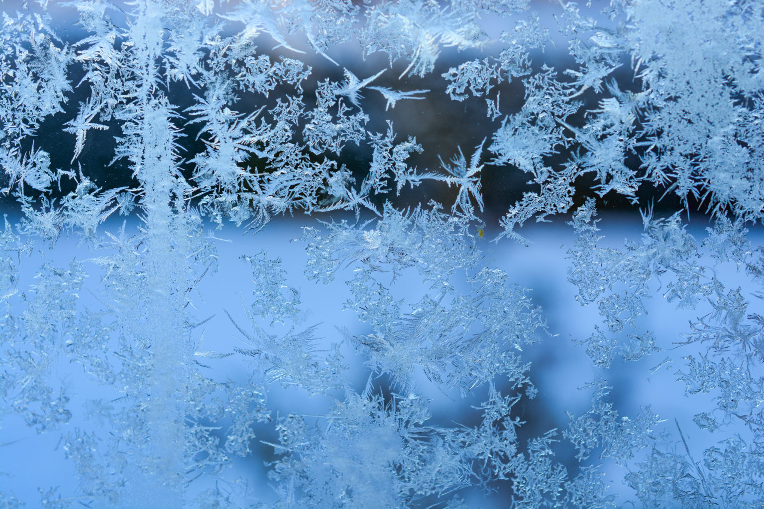 Valokuvaaja: Maija Savolainen