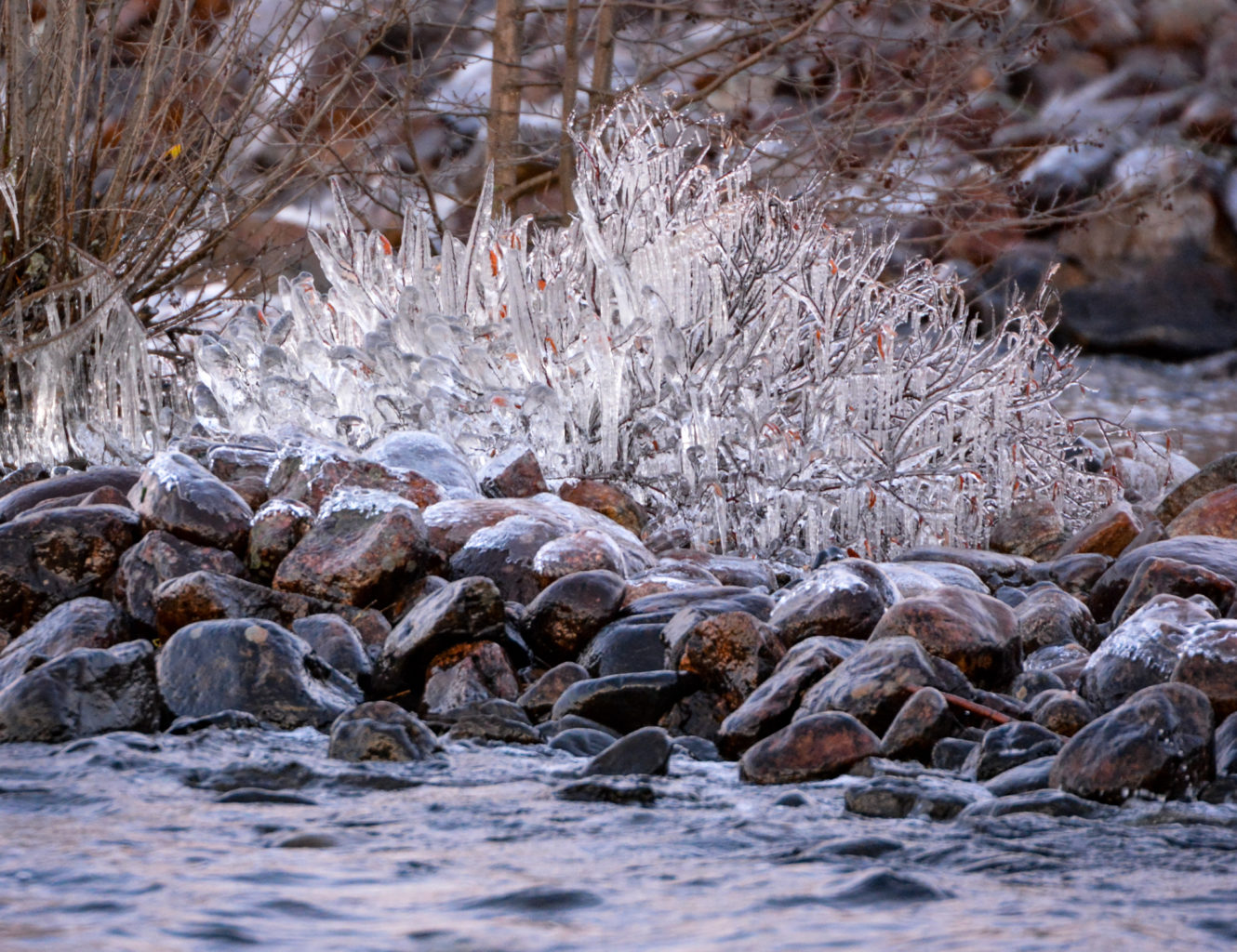 Valokuvaaja: Maija Savolainen