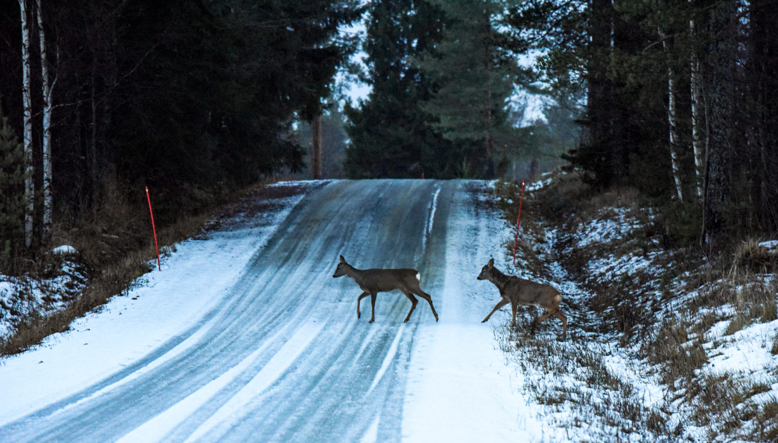 Valokuvaaja: Maija Savolainen