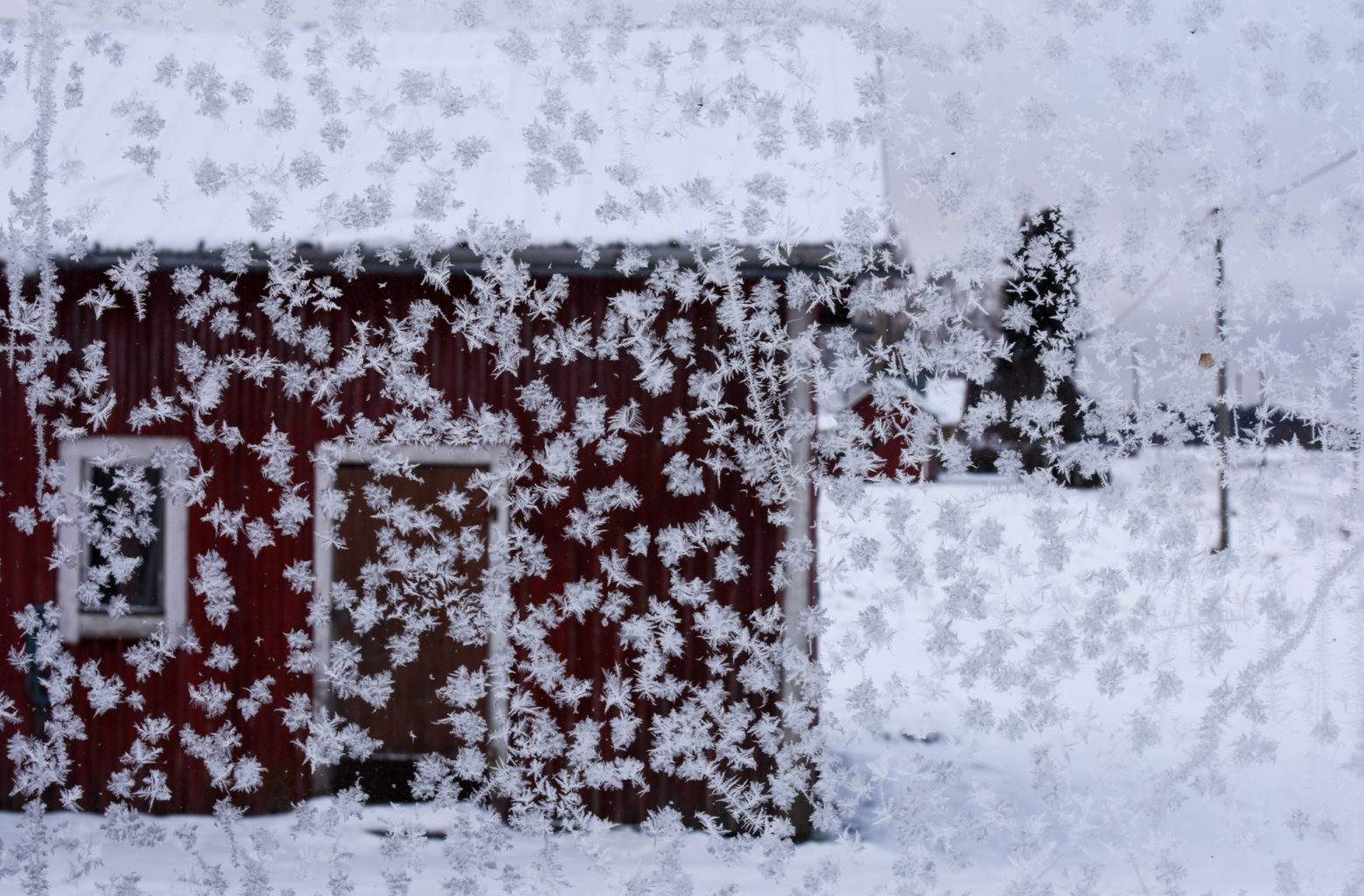 Valokuvaaja: Maija Savolainen