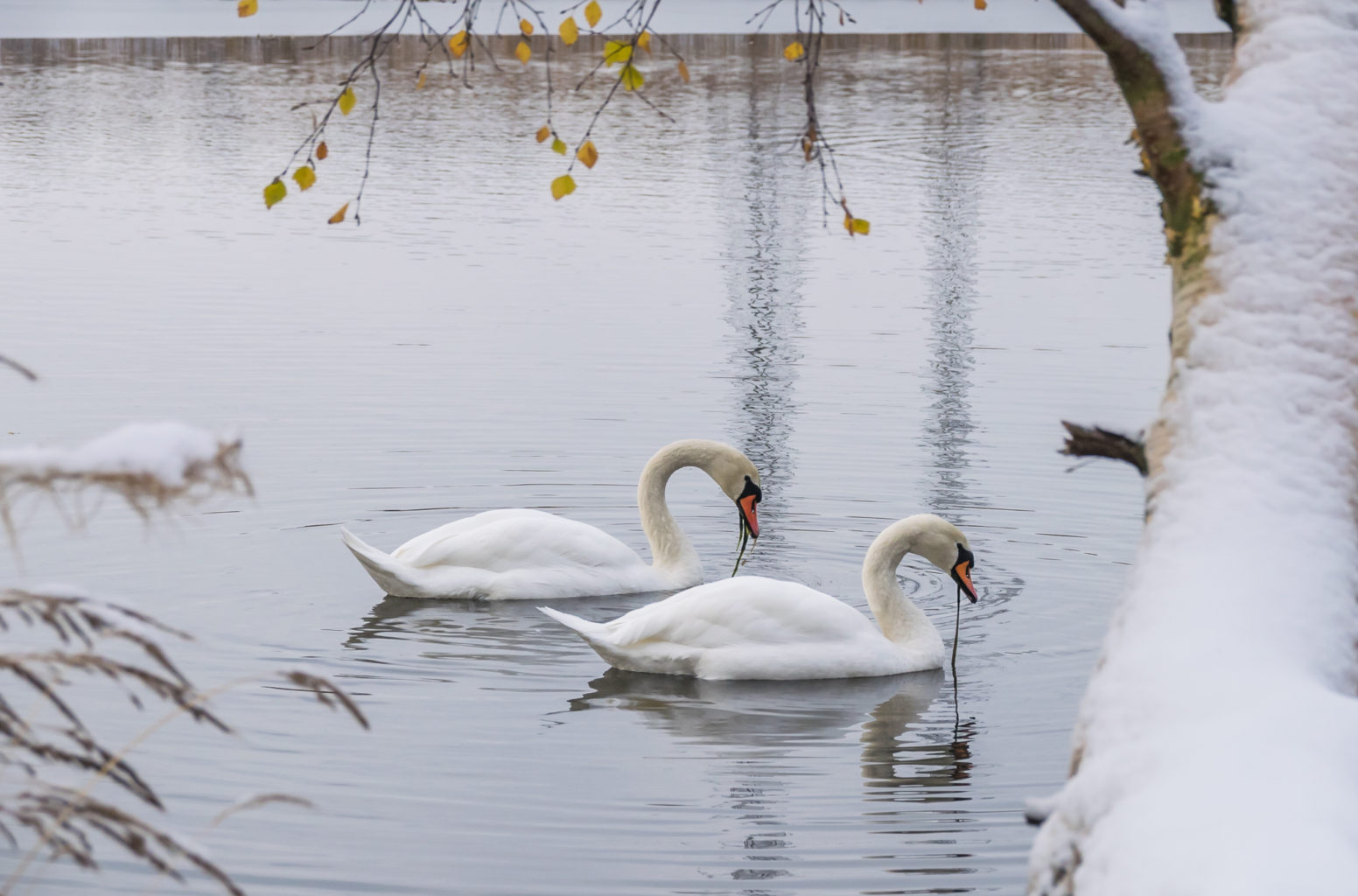 Valokuvaaja: Paul Stevens Valokuvaaja: Paul Stevens