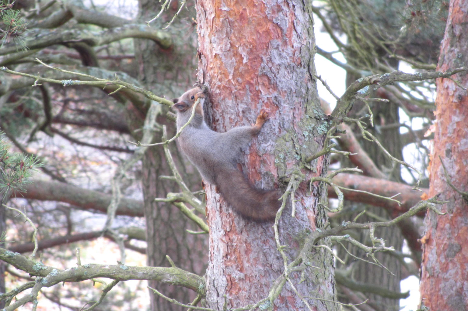 Valokuvaaja: Risto Kangassalo