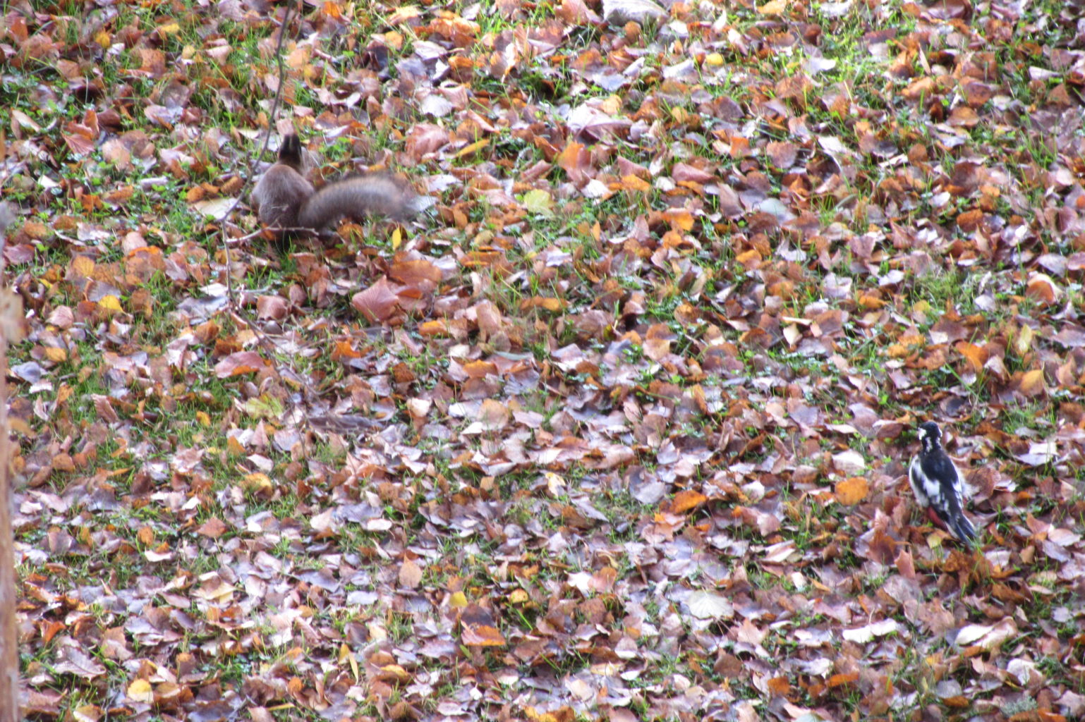 Valokuvaaja: Risto Kangassalo