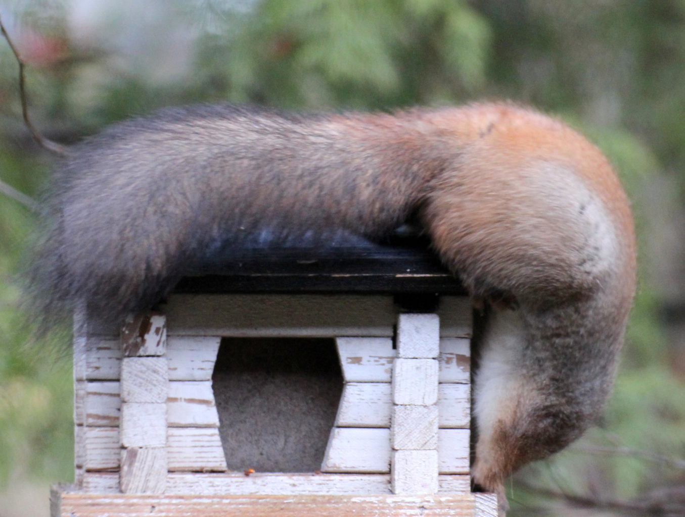 Valokuvaaja: Irja lehtinen