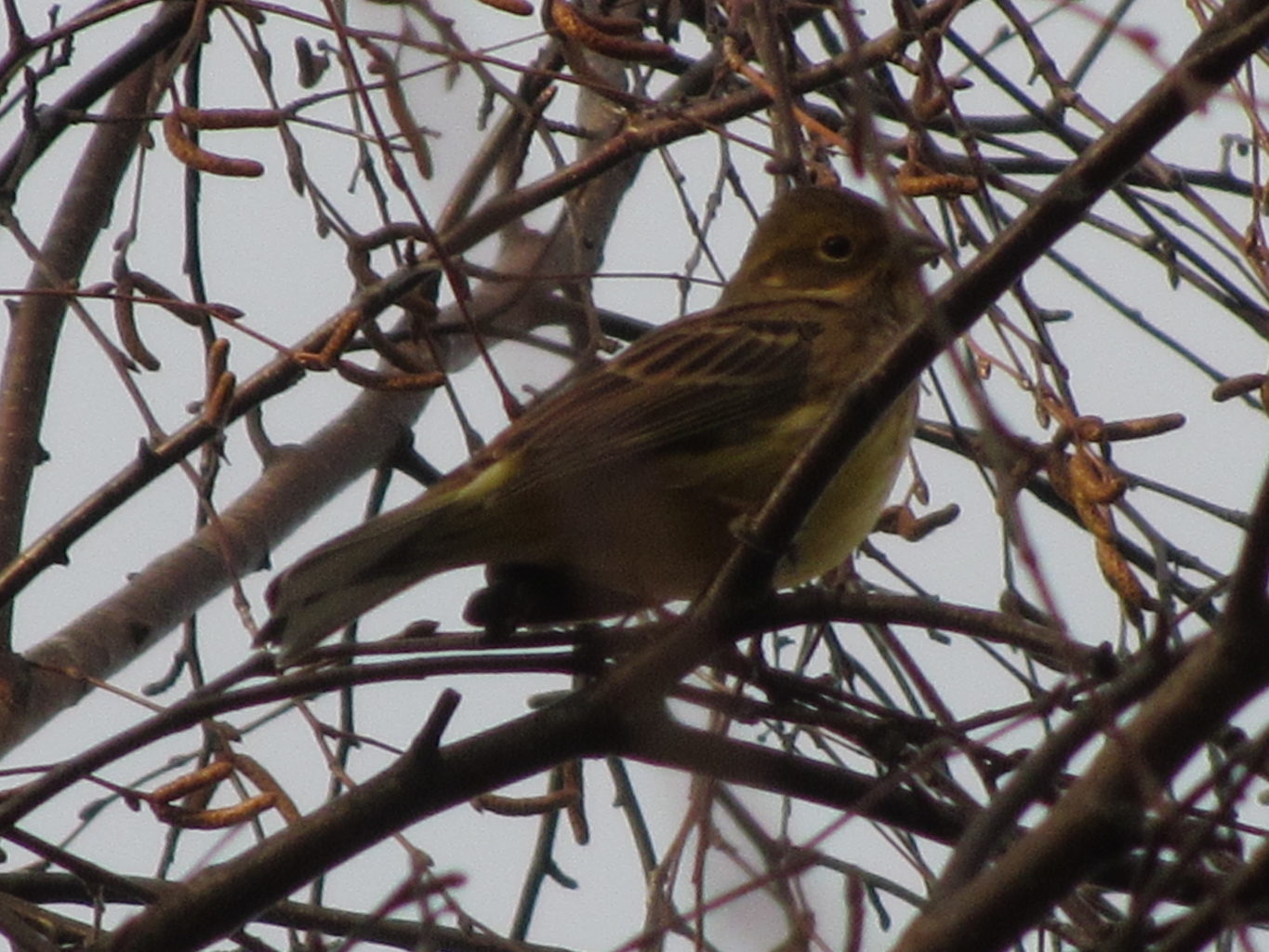 Valokuvaaja: Risto Kangassalo