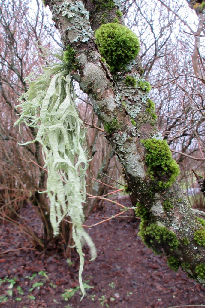 Valokuvaaja: Terttu Rantanen