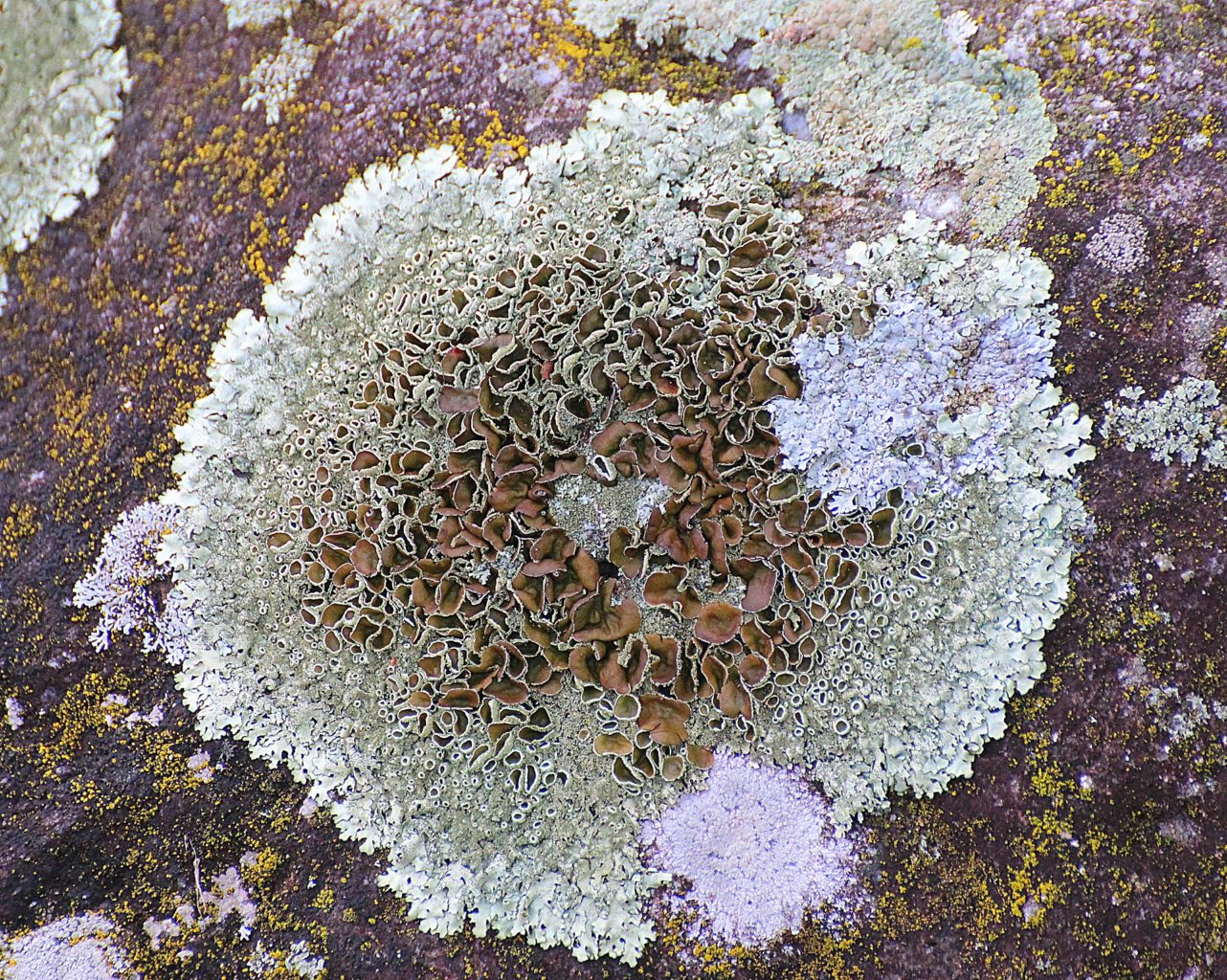 Valokuvaaja: Irja lehtinen