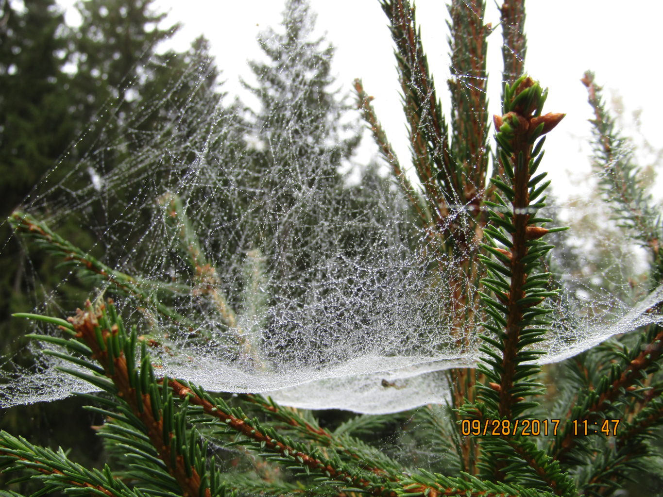 Valokuvaaja: Teija Matikka