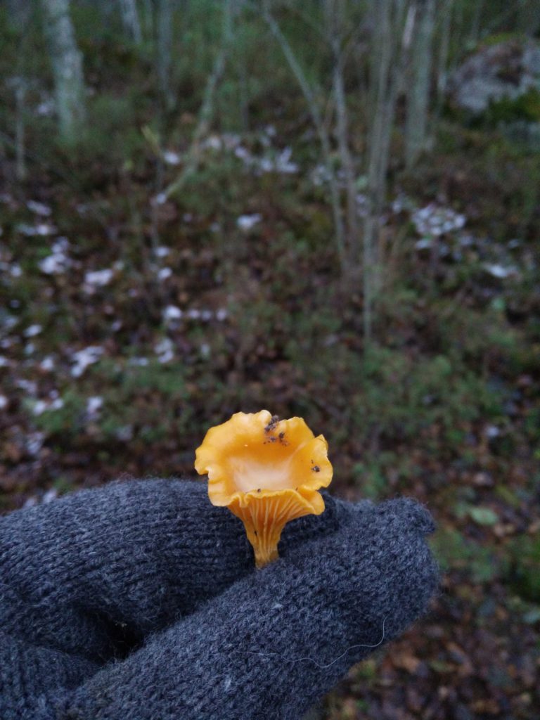 Valokuvaaja: Jussi judin