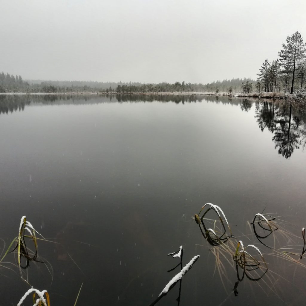 Valokuvaaja: Tapio Keinonen