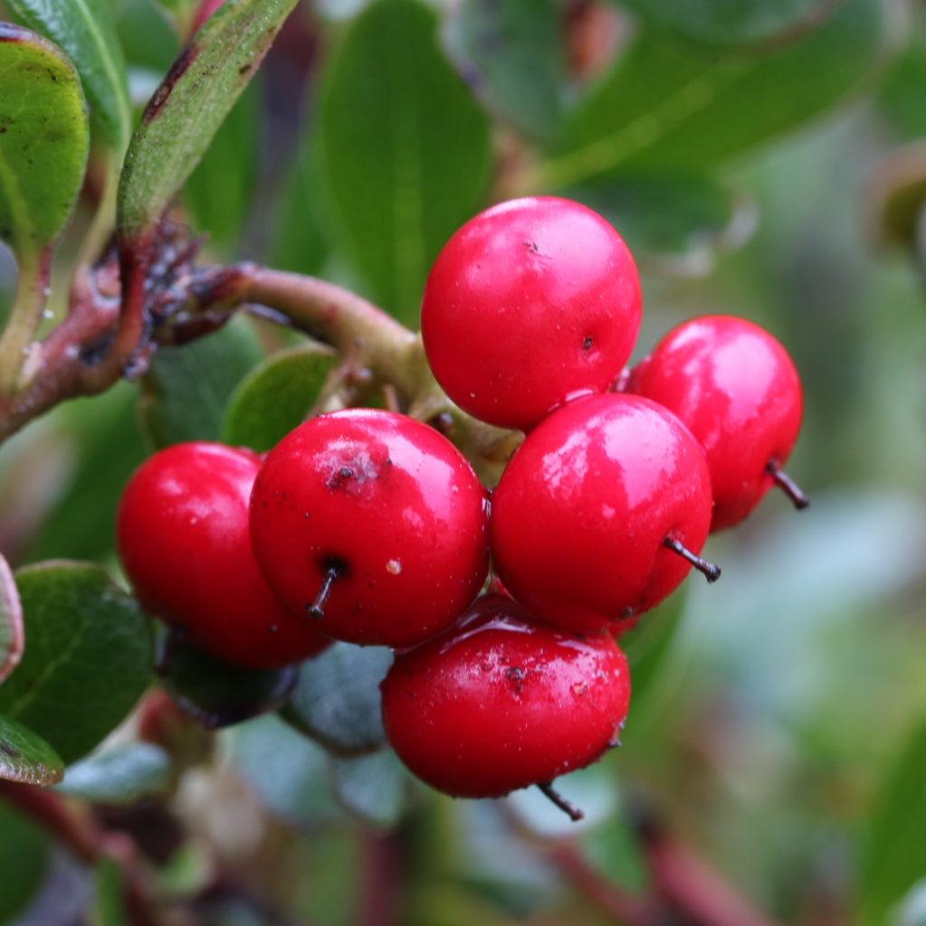 Valokuvaaja: hannu rasiranta Valokuvaaja: hannu rasiranta