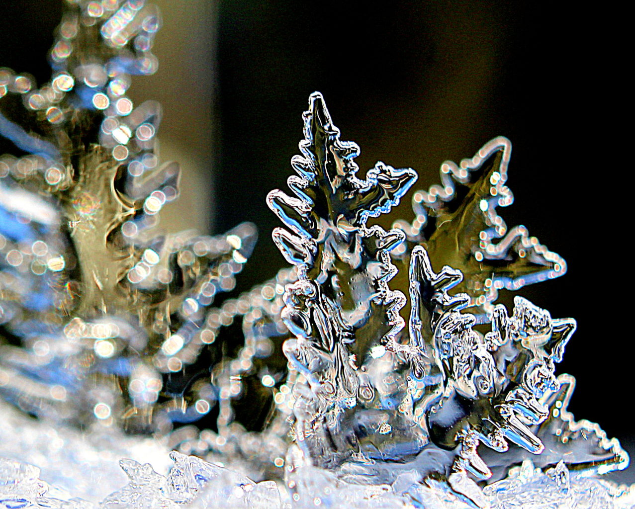 Valokuvaaja: Irja Lehtinen