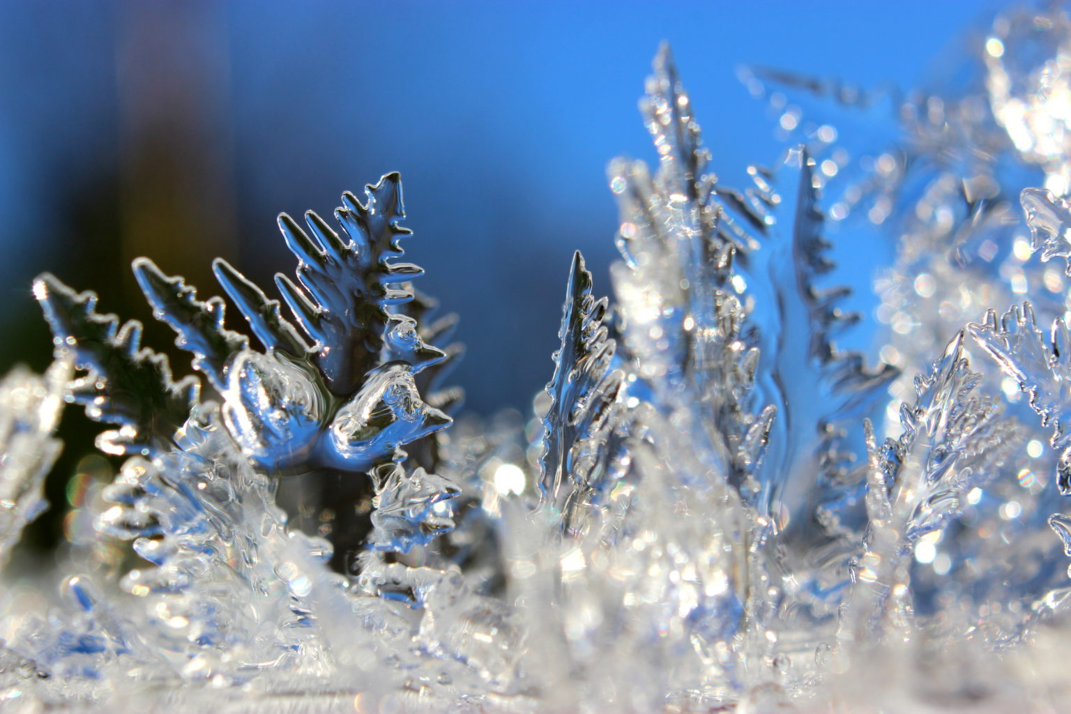 Valokuvaaja: Irja lehtinen