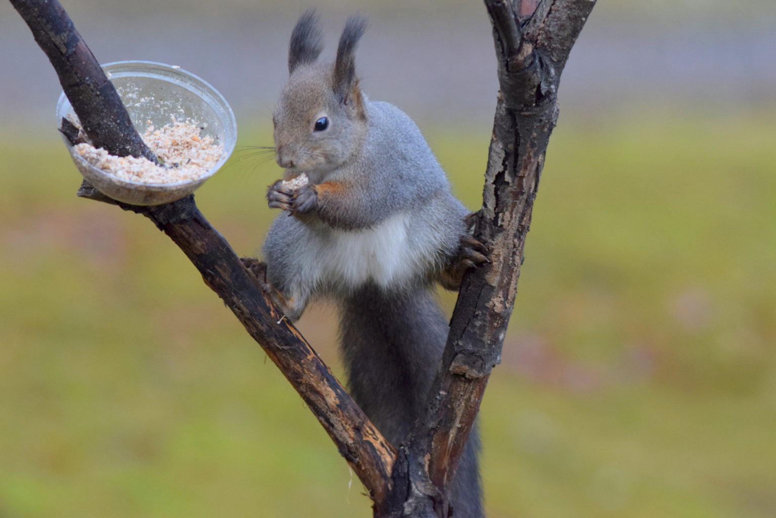 Valokuvaaja: Kalle Asikainen