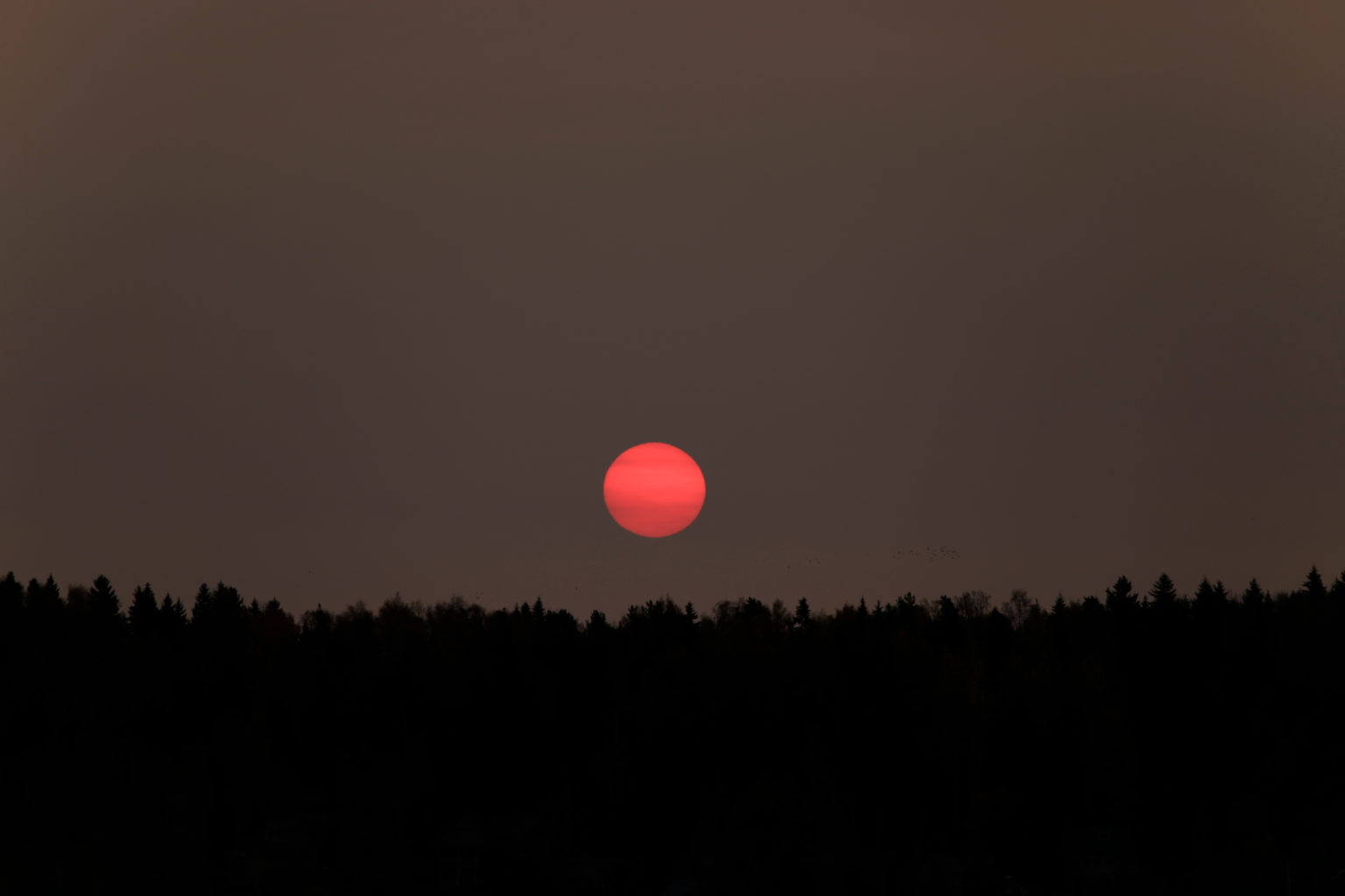 Valokuvaaja: Päivi Vikström