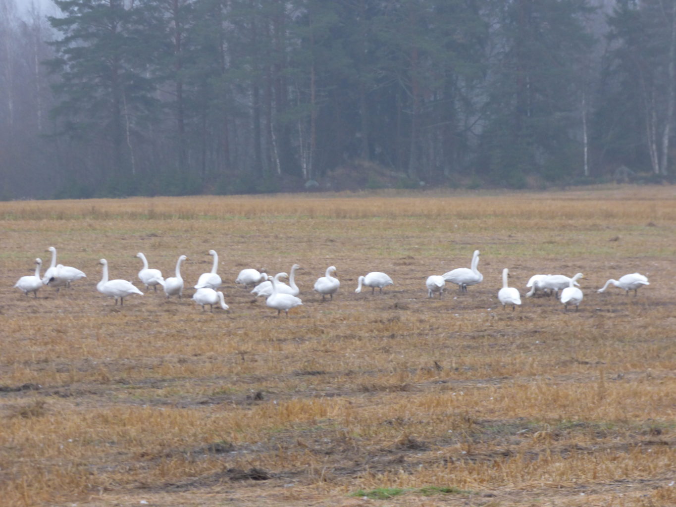 Valokuvaaja: Hannu Rissanen Valokuvaaja: Hannu Rissanen
