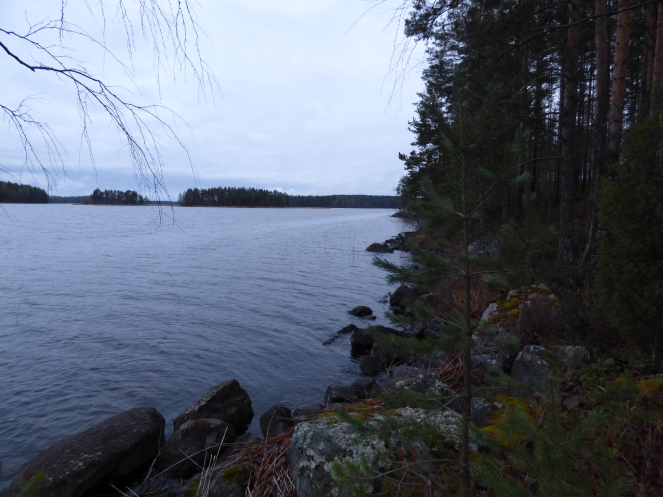 Valokuvaaja: Hannu Rissanen