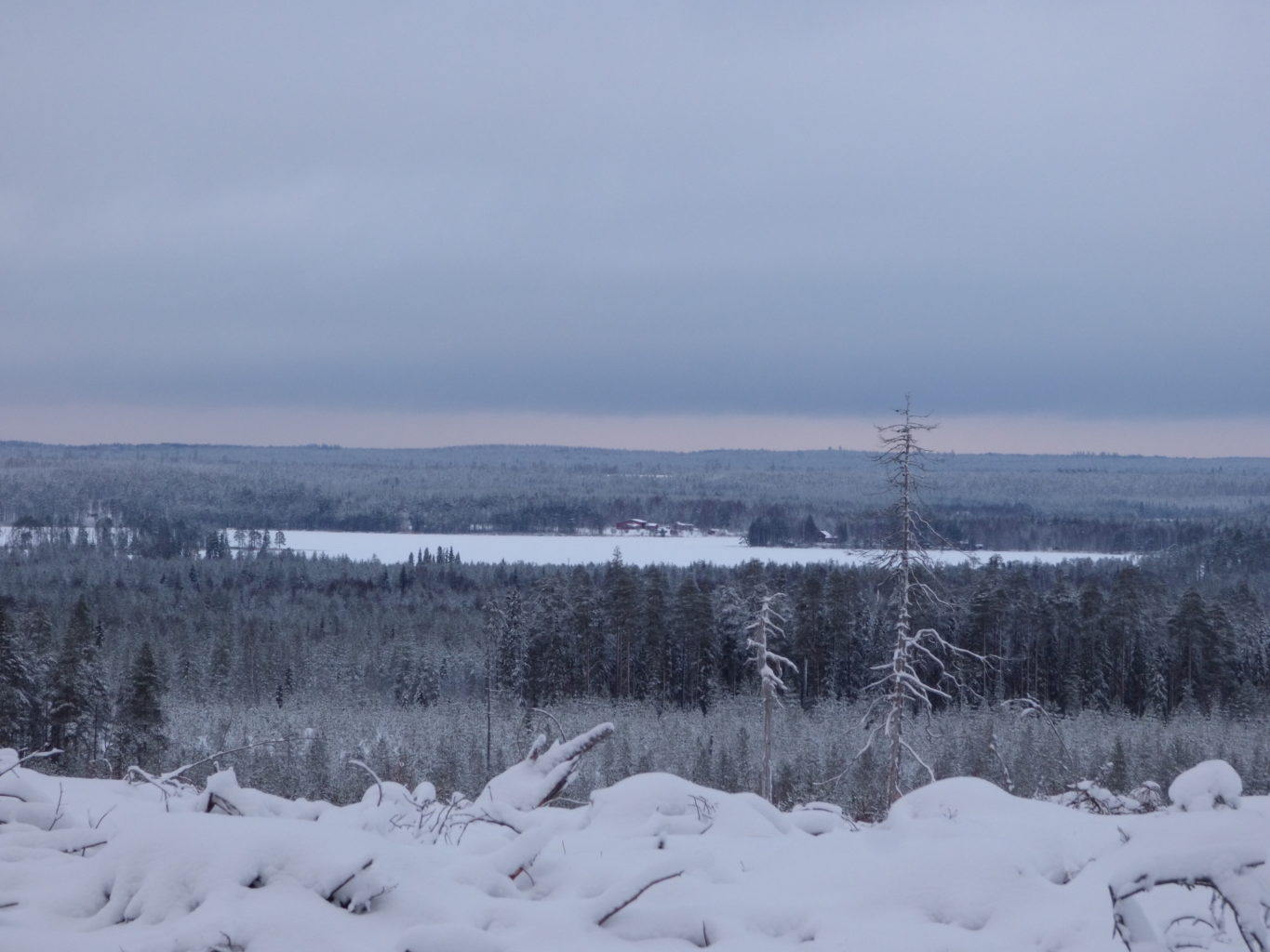 Valokuvaaja: Hannu Rissanen