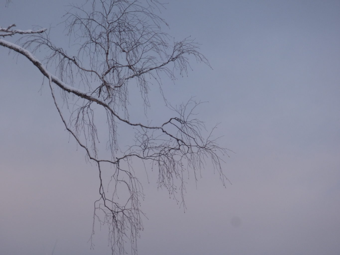 Valokuvaaja: Hannu Rissanen