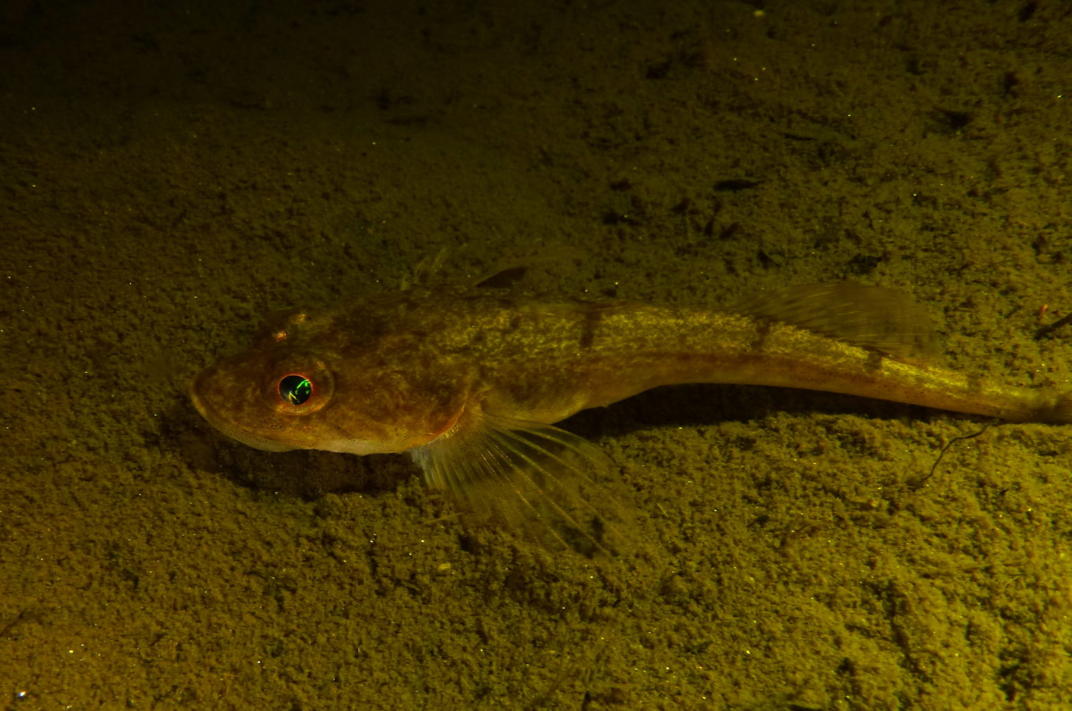 Valokuvaaja: Soili Vesanen