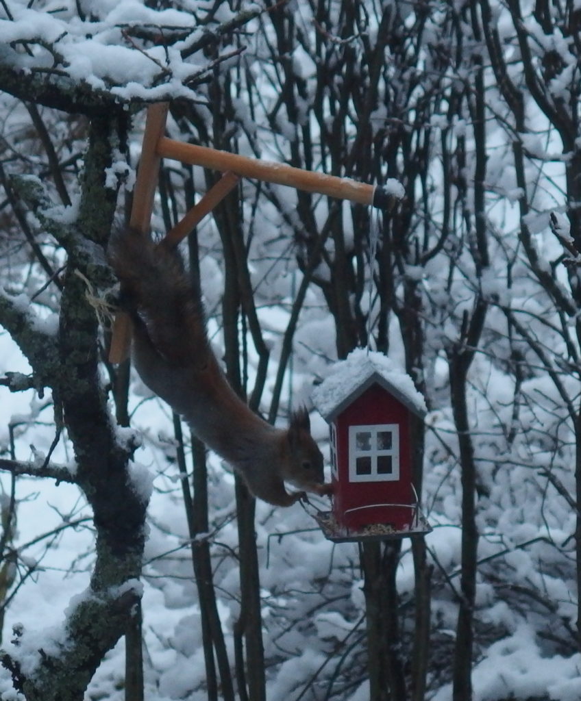 Valokuvaaja: Riitta Valkeapää