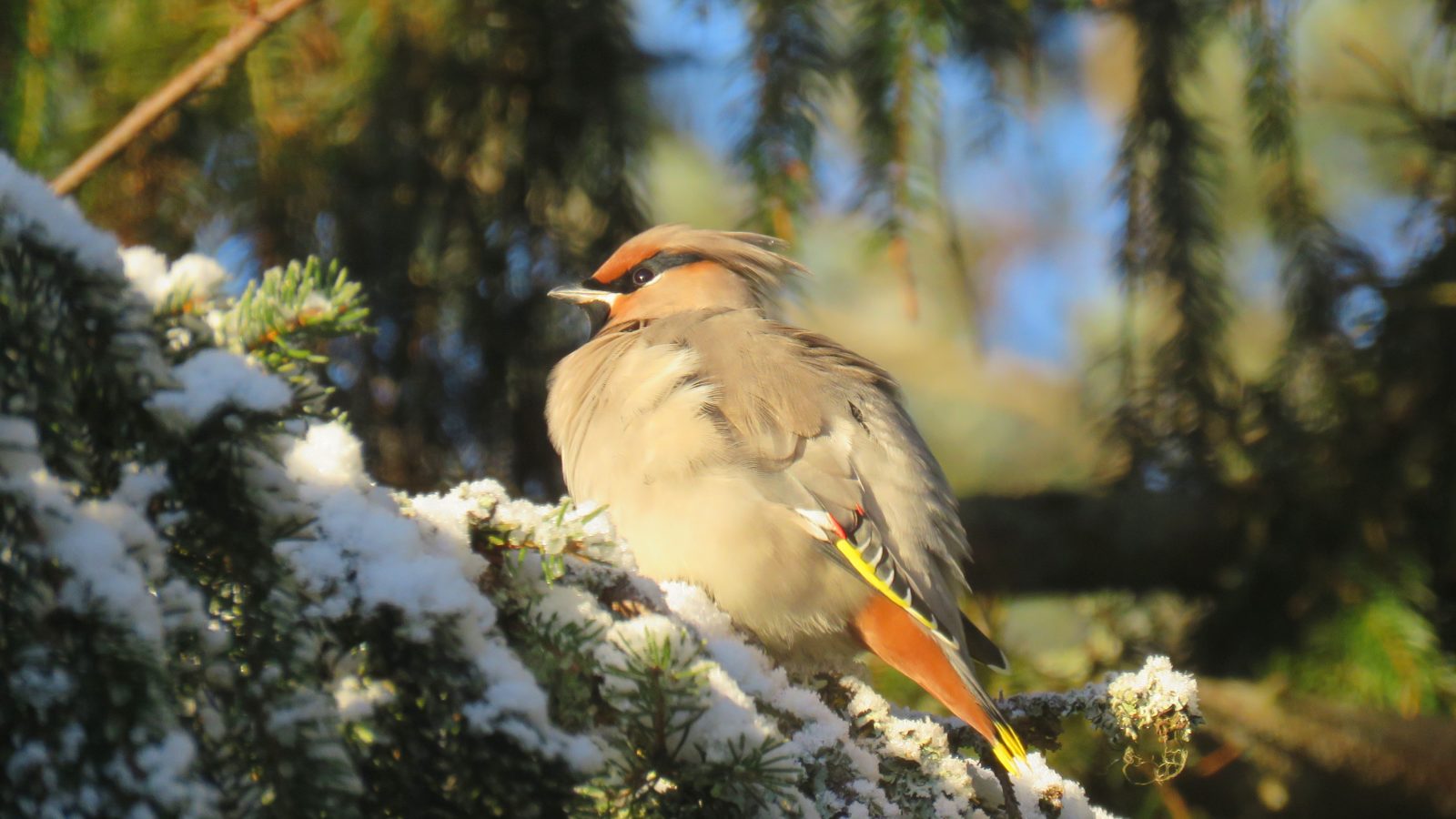 Valokuvaaja: SINIKKA KUJALA