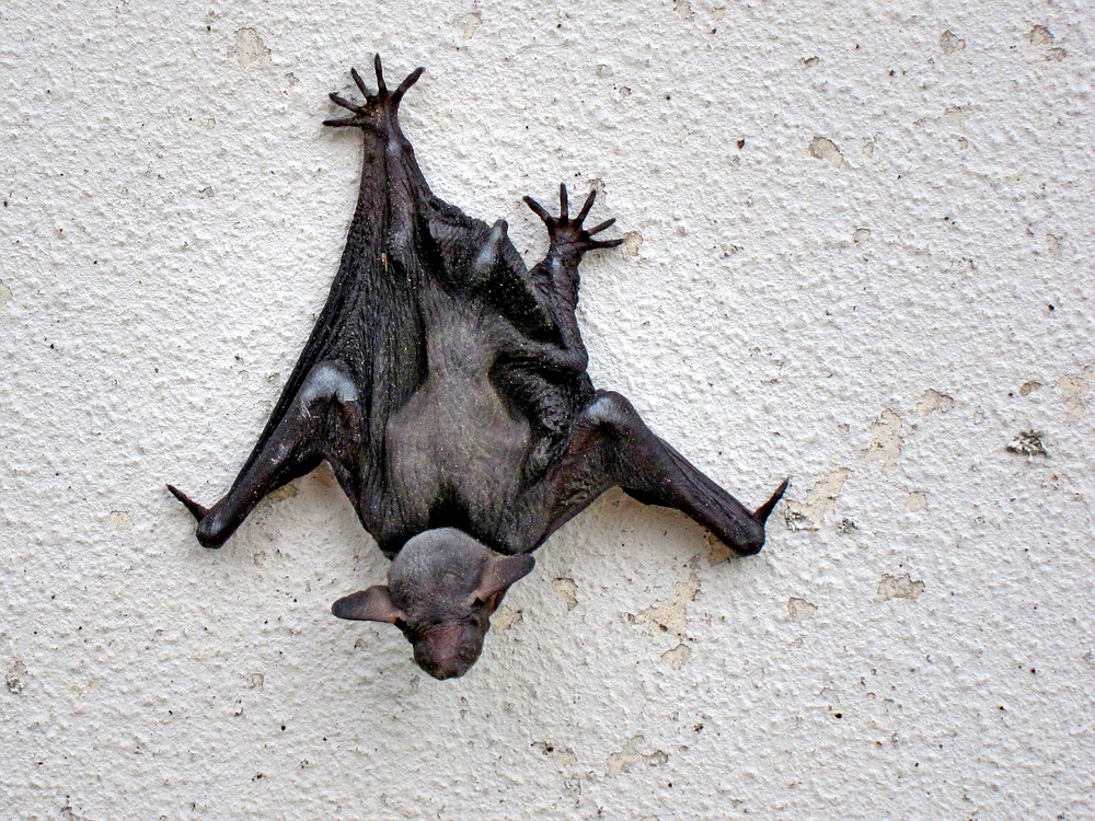 Valokuvaaja: Ritva Sieber