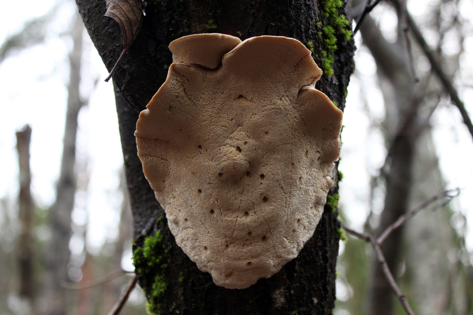 Valokuvaaja: Mirva Inkilä