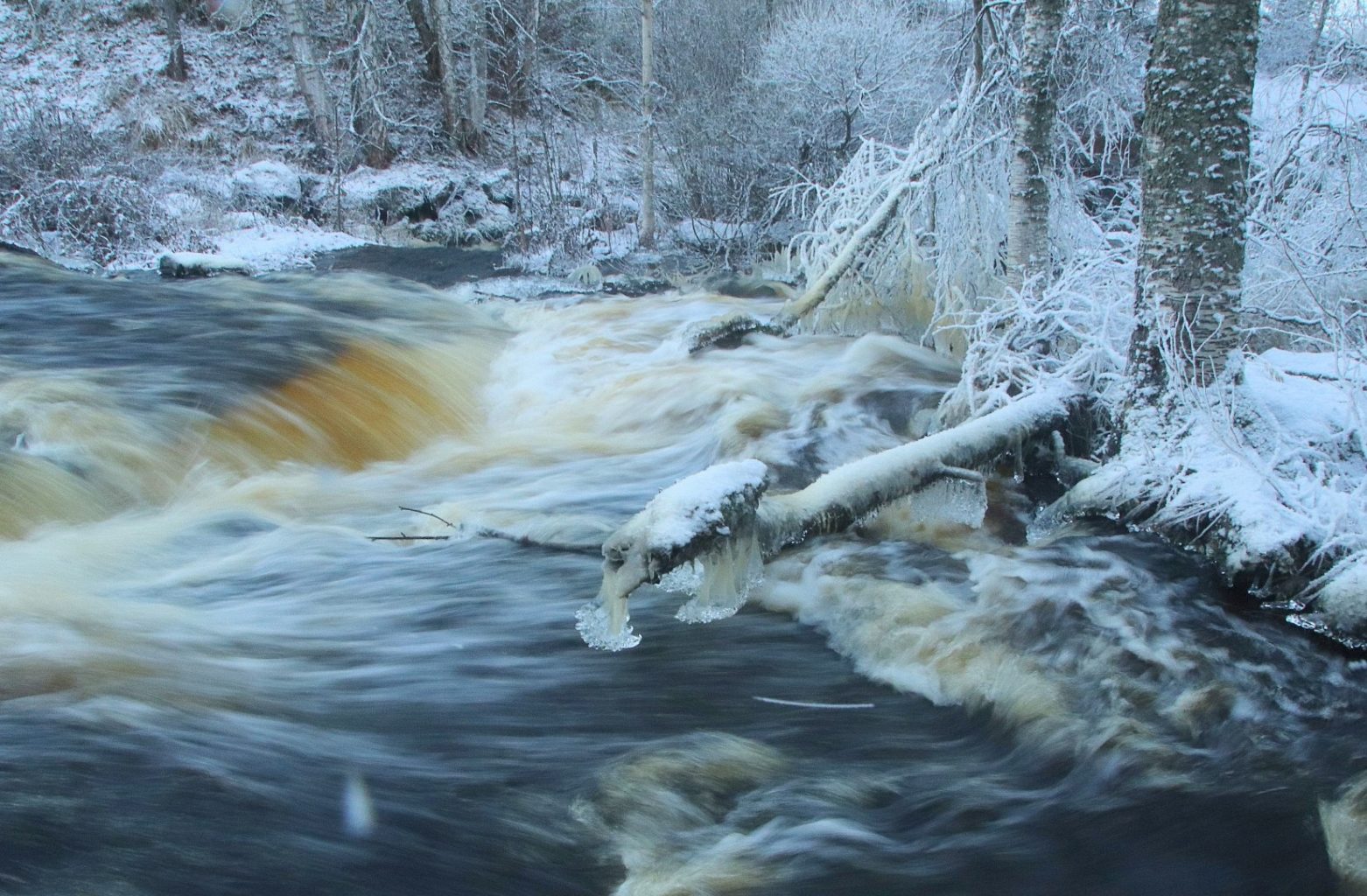 Valokuvaaja: Sirpa Jyske Valokuvaaja: Sirpa Jyske