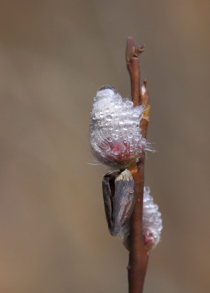 Valokuvaaja: Hanna Järvinen
