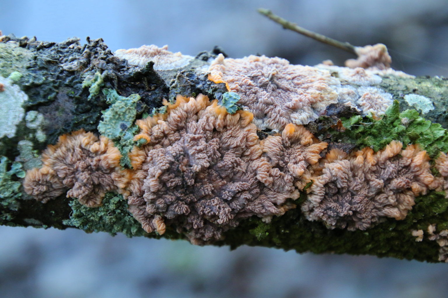 Valokuvaaja: Kari Aaltonen