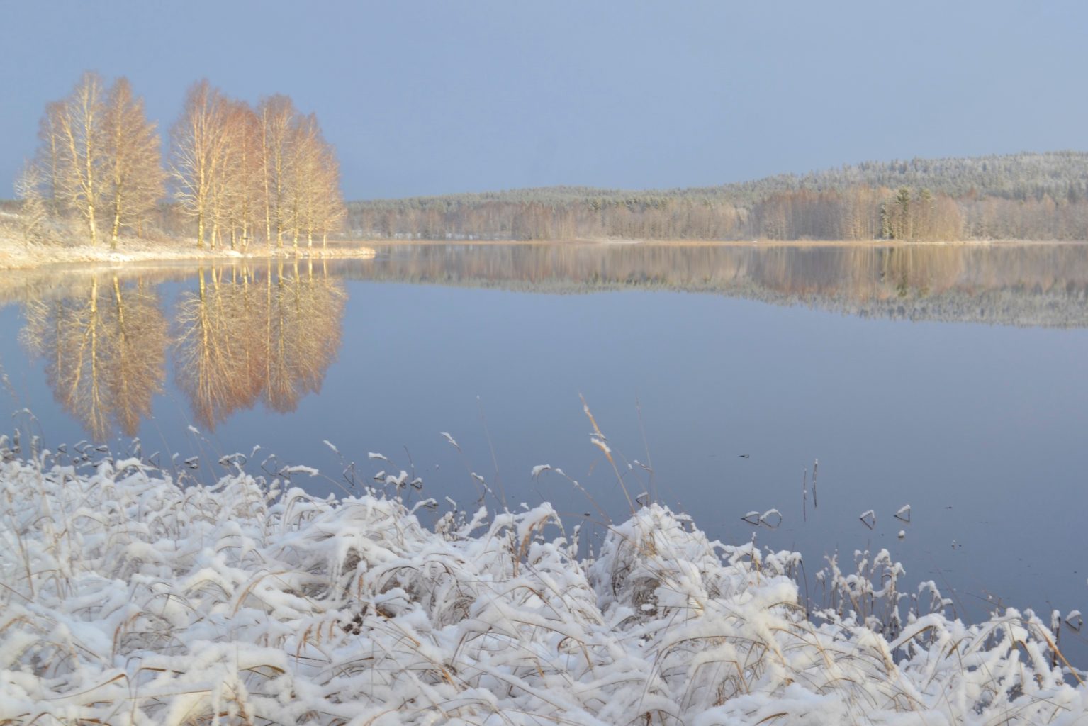 Valokuvaaja: Leena Rissanen