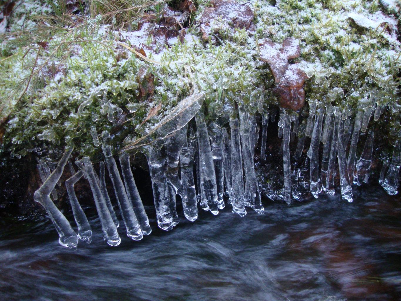 Valokuvaaja: Anja Mustamaa