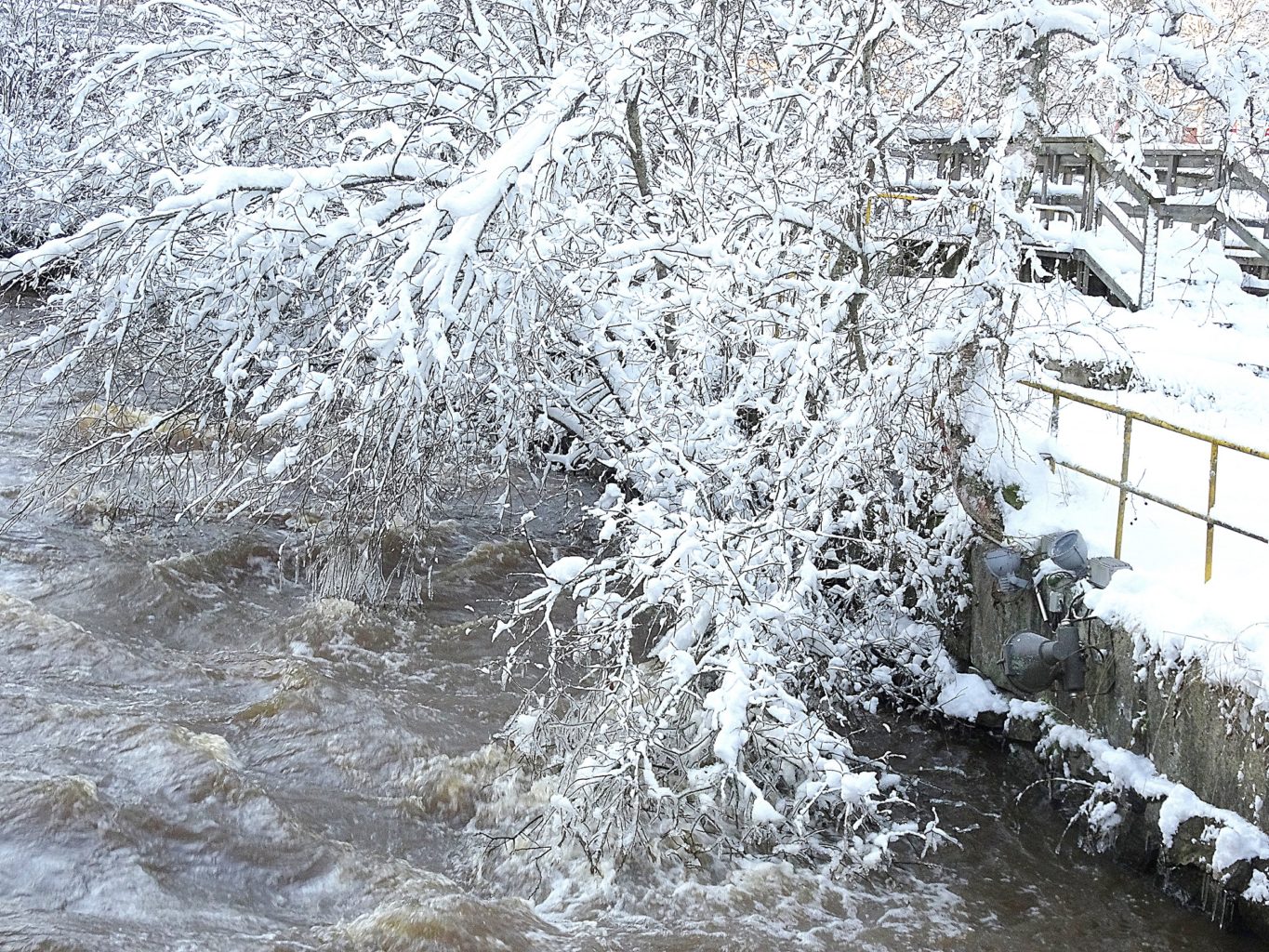 Valokuvaaja: Irja Lehtinen