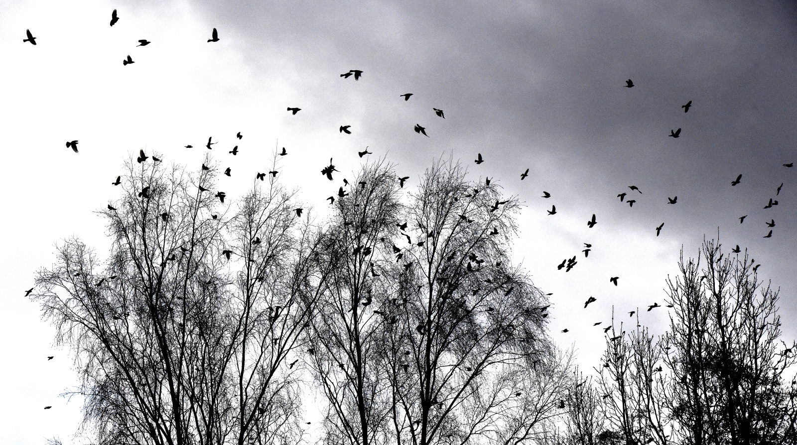 Valokuvaaja: Reijo Juurinen