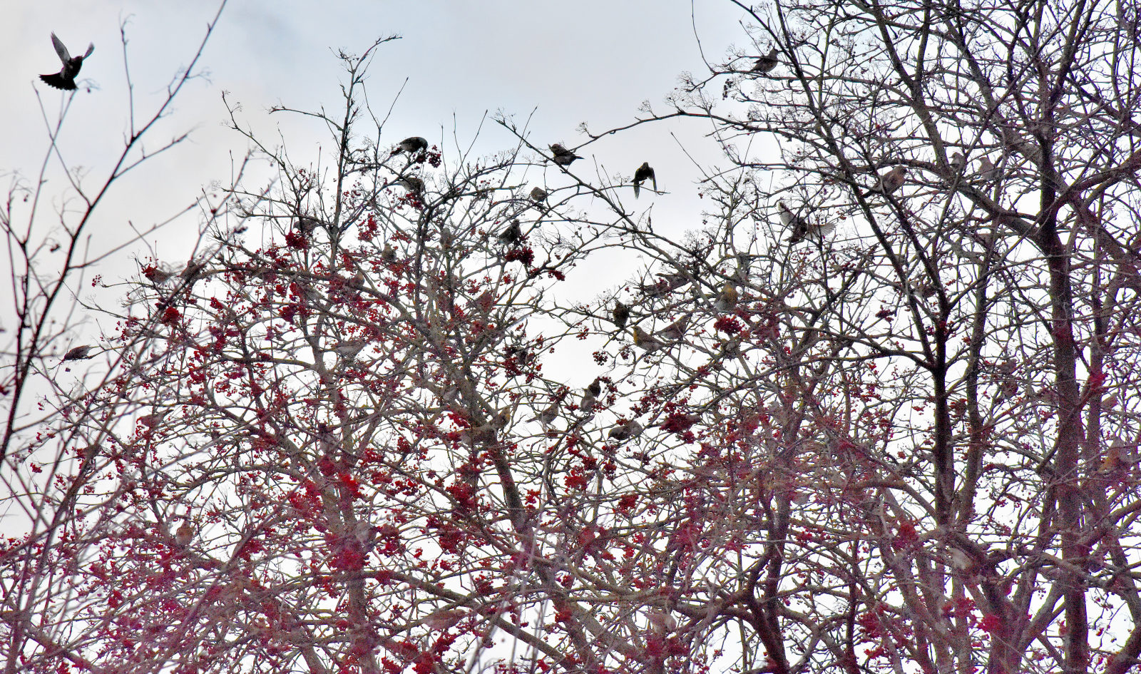 Valokuvaaja: Reijo Juurinen