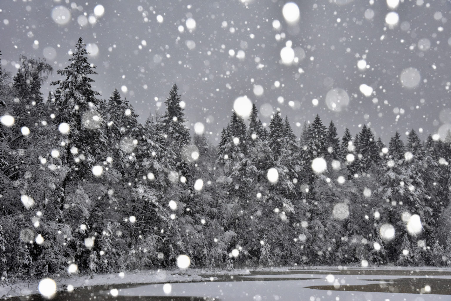 Valokuvaaja: Reijo Juurinen