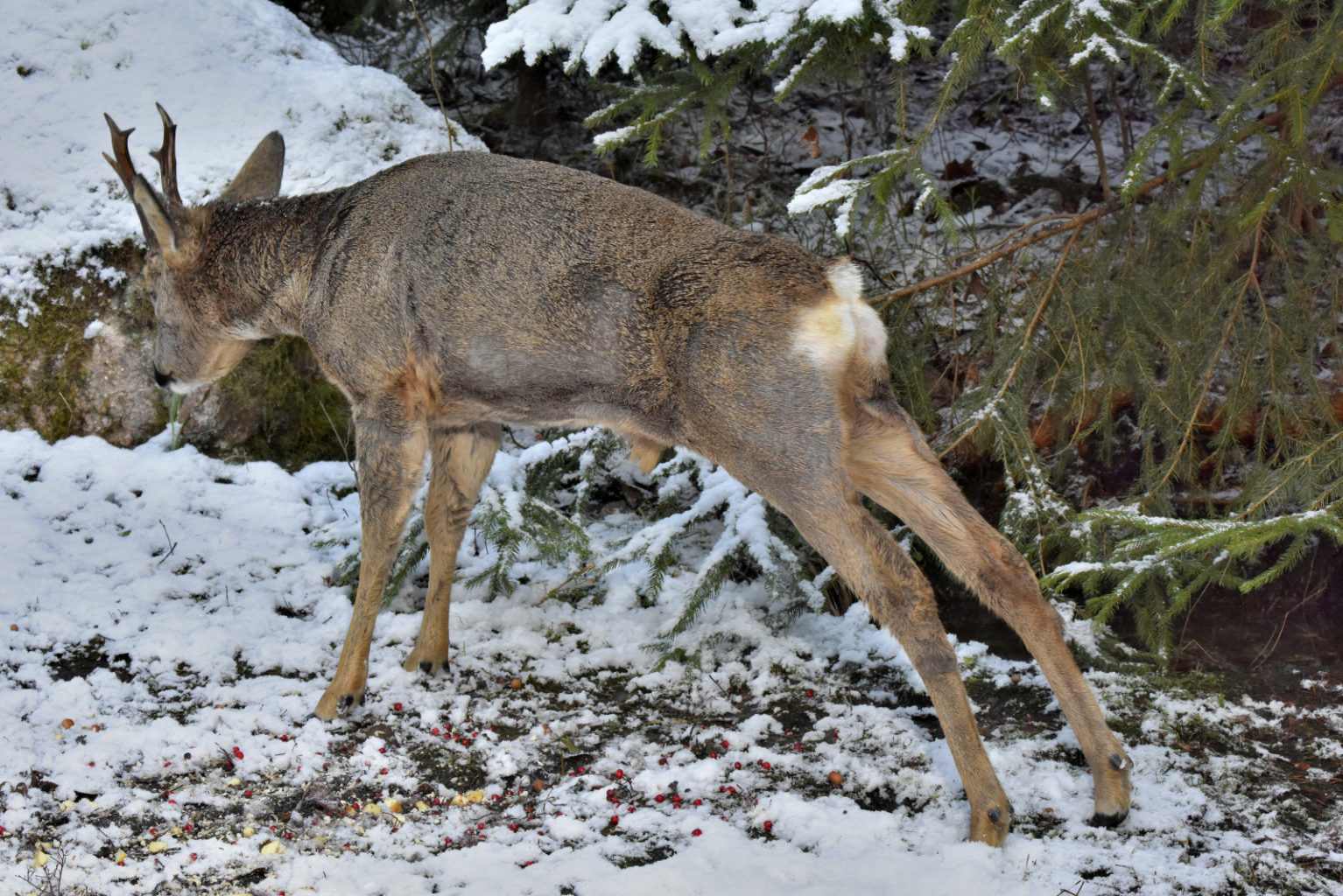 Valokuvaaja: Reijo Juurinen