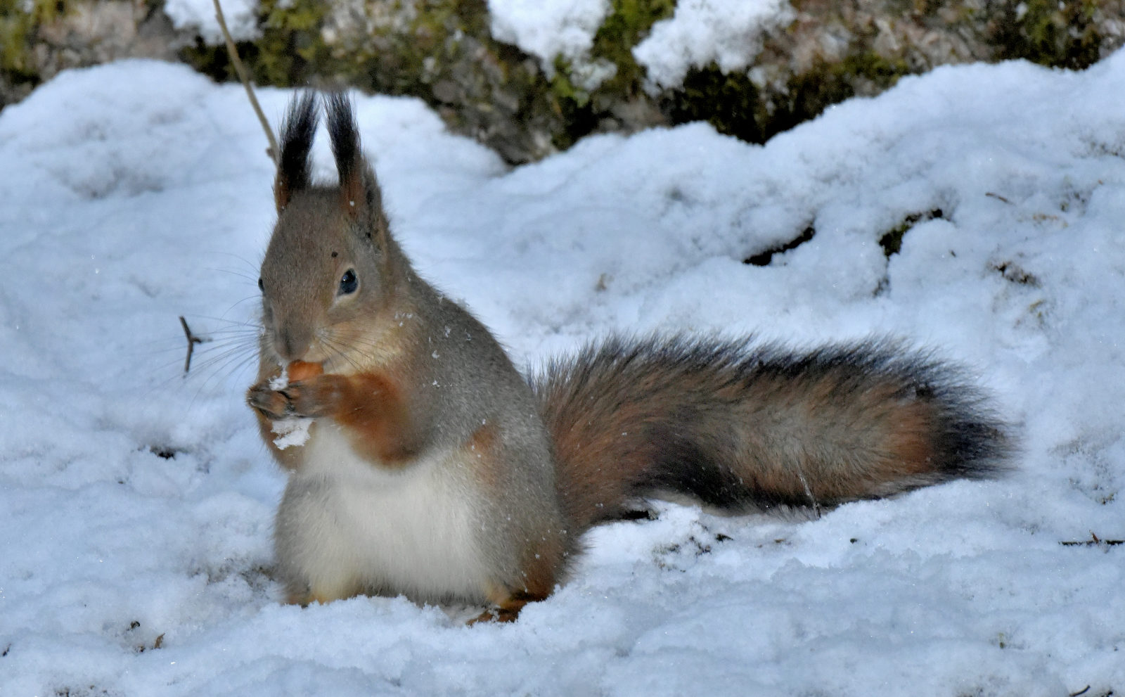 Valokuvaaja: Reijo Juurinen