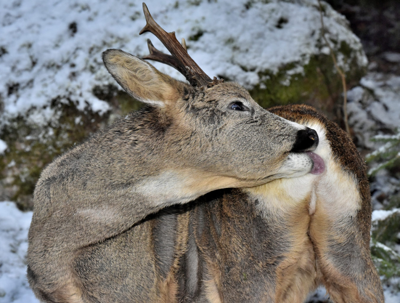 Valokuvaaja: Reijo Juurinen Valokuvaaja: Reijo Juurinen